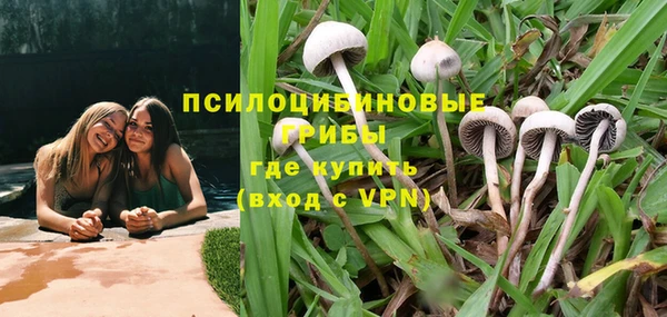 мяу мяу мука Арсеньев